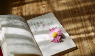 误入歧途意思（误入歧途意思是什么 误什么意思）