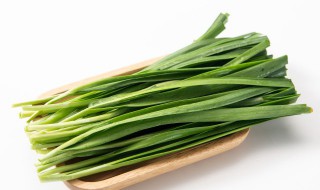 韭菜和香菜（韭菜和香菜相克吗）