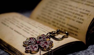 纵横捭阖意思（纵横捭阖意思是什么）