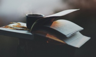 雷霆万钧意思（雷霆万钧意思是什么）