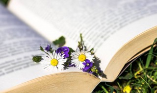 众口铄金意思 众口铄金的意思是什么意思啊