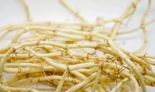 鱼腥草常吃有什么样的功效呢 吃鱼腥草有什么作用和功效