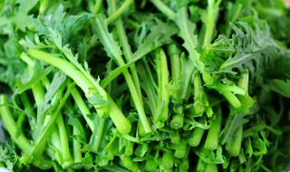 茼蒿和鸡肉能一起吃吗（鸡肉茼蒿菜能一起吃吗）