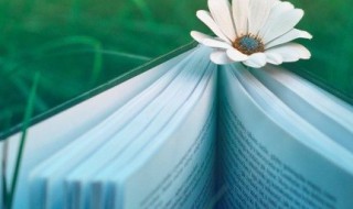 刎颈之交意思 刎颈之交 的意思