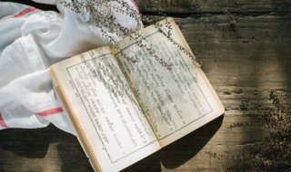 千里迢迢意思（千里迢迢意思相近的词语）