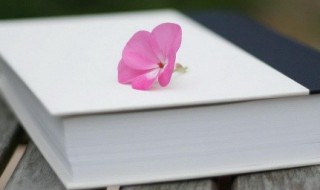 晴天霹雳意思（晴天霹雳意思解释）