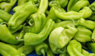 梦见尖椒 梦见尖椒长的非常茂盛是什么意思