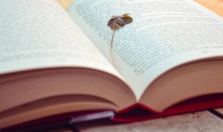 学而不厌意思（学而不厌的厌意思）