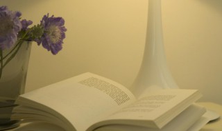 亡羊补牢意思（亡羊补牢意思相近的句子）