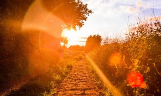 治愈心灵温暖的句子（经典暖心短句感恩）