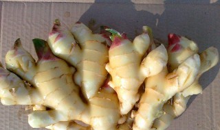 怎样选嫩姜最好 怎样选嫩姜最好吃又甜