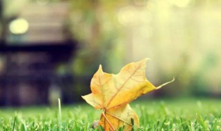 美好的一天从清晨开始说说短句子 美好的一天从清晨开始说说短句子英文