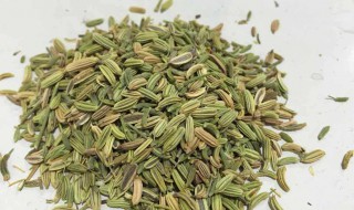 小茴香的作用与功效（小茴香的作用与功效怎么吃）