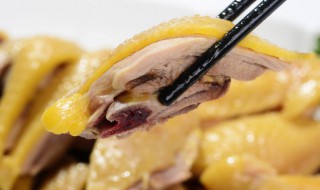 哪些人不能吃柴鸡（吃柴鸡的好处）