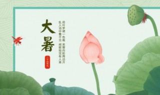 大暑节气有多少天 这一年的大暑节气是几月几日