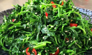 普通荠菜的吃法 普通荠菜的吃法和做法