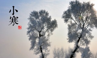 小寒节气有何注意事项 小寒节气有啥讲究