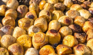 毛蛋的吃法 毛蛋怎么烧好吃