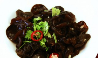 隔夜的凉拌木耳还能不能吃(隔夜的凉拌木耳能吃吗?)