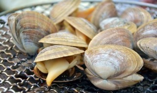 哪些人不能吃河蚬 河蚬能不能吃