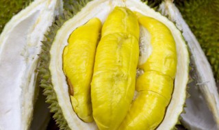 榴莲没有开口可以吃吗（榴莲没有开口能吃吗）