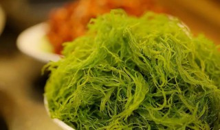 海草的吃法（海草的吃法和做法）
