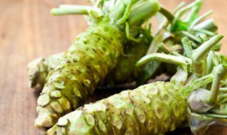 哪些人不能吃山葵(哪些人不能吃山葵花)