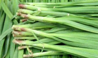 哪些人不能吃韭黄 哪些人不宜吃韭黄