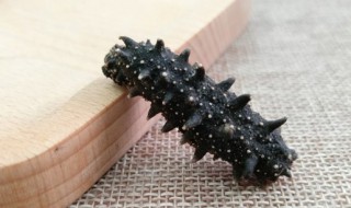 海参的筋能吃吗（海参内壁的白色筋能否食用）