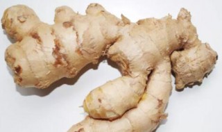 哪些人不能吃沙姜(沙姜的禁忌,适合什么样的人吃)