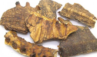 龟板的吃法（龟板的吃法与用量）