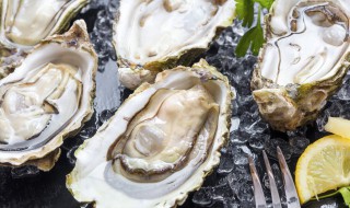 牡蛎的吃法 牡蛎的吃法与做法