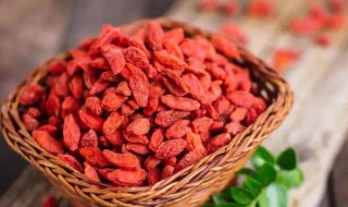 夏天能吃人参和枸杞吗 夏天能吃人参和枸杞吗女性