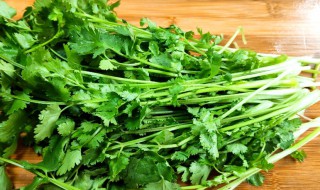 芫荽的吃法 芫荽的吃法有哪些