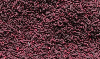 哪些人不能吃红曲米 哪些人不能吃红曲米粥