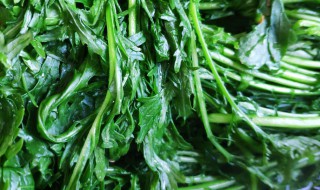 雪里红的吃法 新鲜的雪里蕻怎么吃才好吃