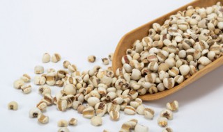 苡米的吃法 苡仁米的吃法