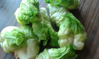 儿菜的吃法 儿菜的吃法和做法