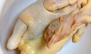 哪些人不能吃三黄鸡 三黄鸡适合什么人吃