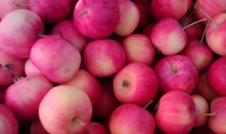 沙果的吃法 沙果吃法大全