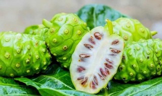 哪些人不能吃刺角瓜 哪些人不能吃刺角瓜呢