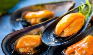 哪些人不能吃贻贝 哪些人不能吃贻贝