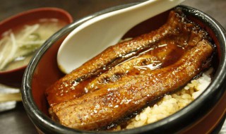 鳗鱼的吃法(鳗鱼的吃法和做法大全)