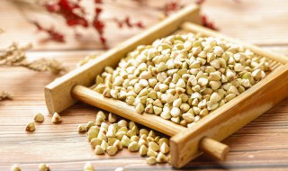 哪些人不能吃荞麦 荞麦吃了有什么好处