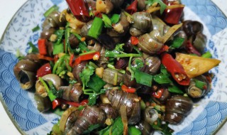 螺蛳的吃法 螺蛳的吃法视频