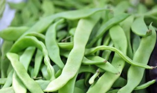 哪些人不能吃芸豆（吃芸豆不能吃什么食物）