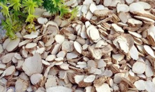 哪些人不能吃白芷（哪些人不能吃白芷片）