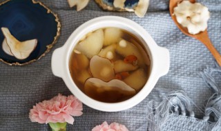 海底椰煲汤的做法（海底椰煲汤做法与功效）