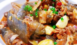 水鱼的吃法（水鱼的吃法与功效）