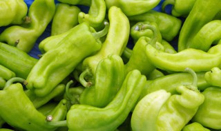 菜椒的吃法 菜椒的吃法与做法大全